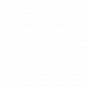 Top 10