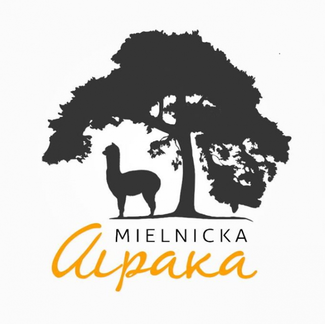 Mielnicka Alpaka