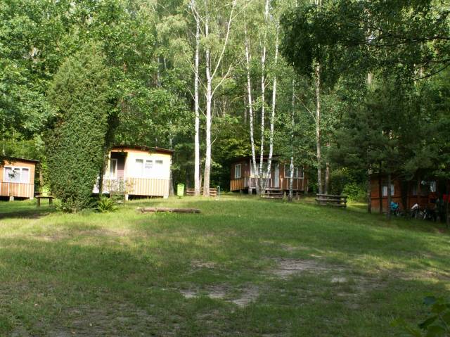 Pole namiotowe "Głogi"