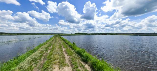 Fishing Farm in Pokaniewo-Kolonia