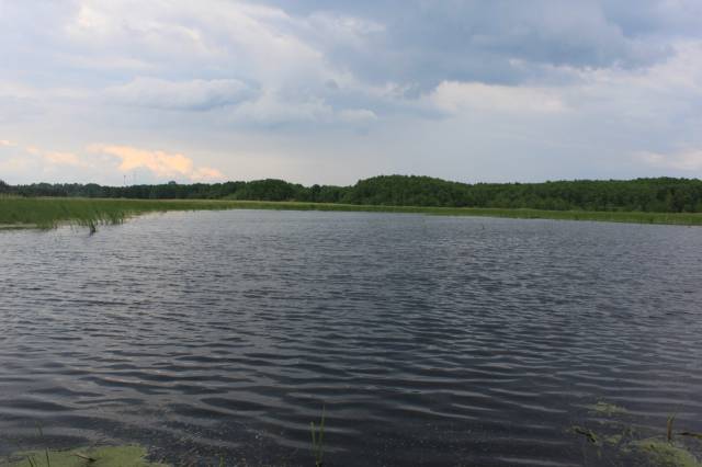 “Wał” Reservoir in Mieljczyce