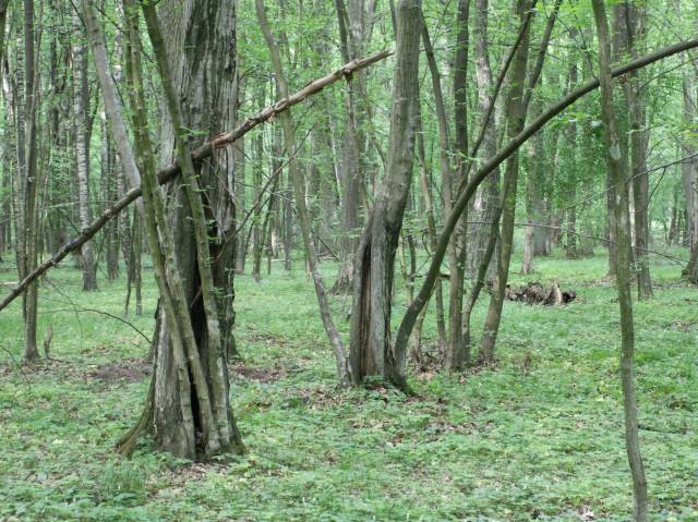 “Sokóle” Nature Reserve