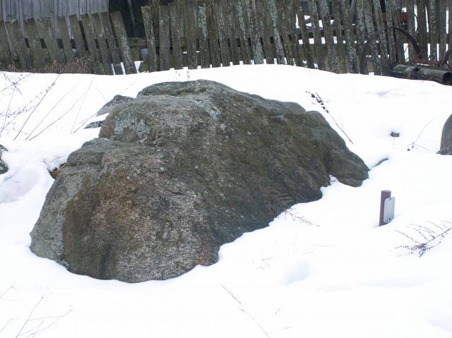 Głaz narzutowy - pomnik przyrody